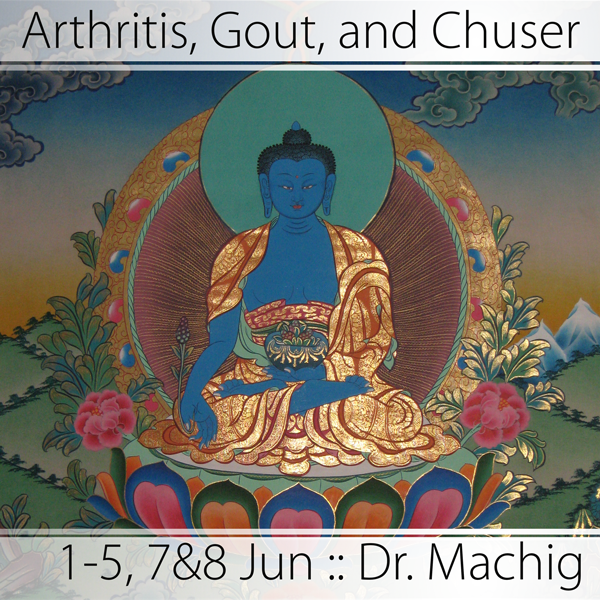 Arthritis, Gout, and Chuser Disorders in Tibetan Medicine